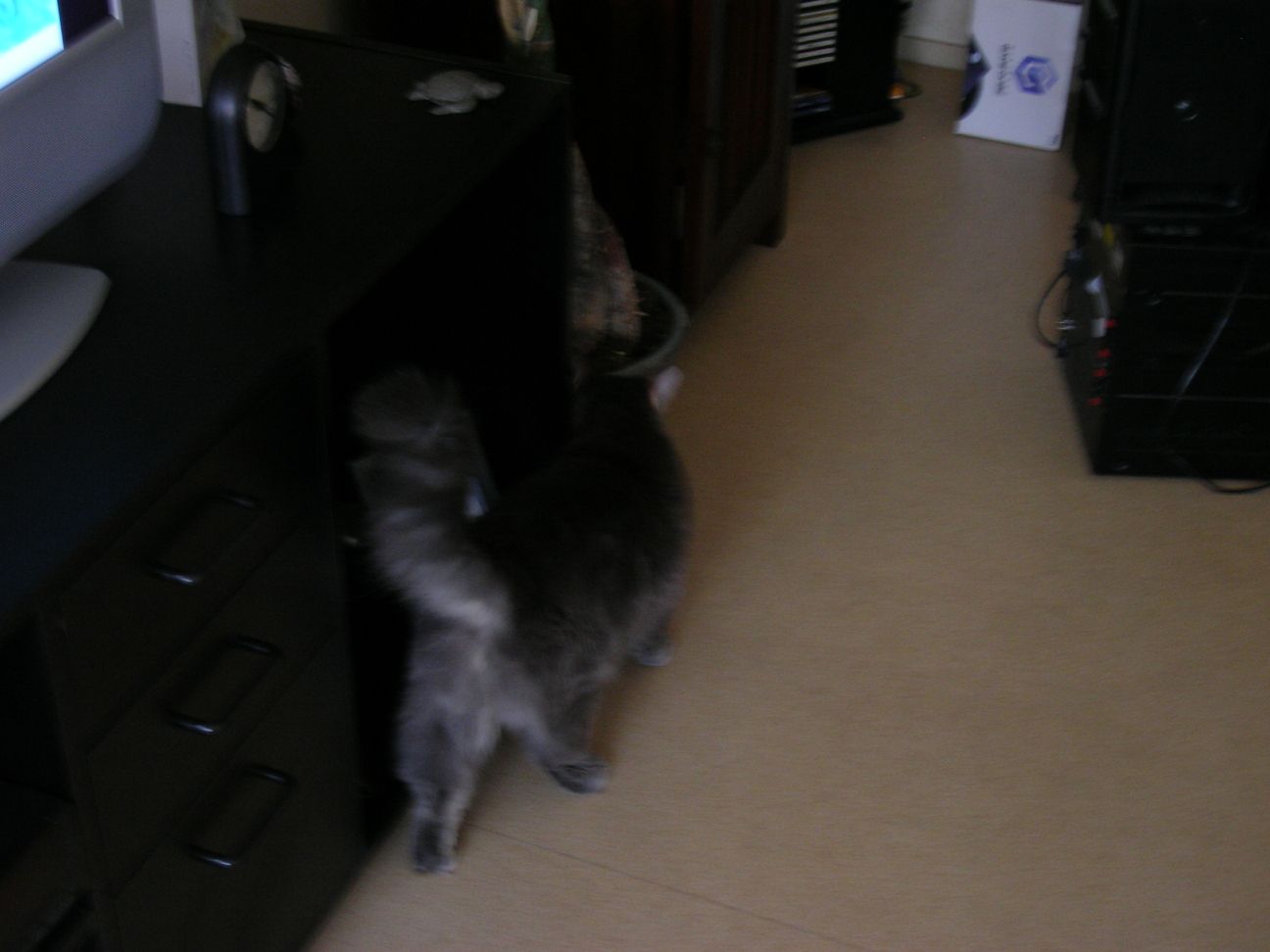 100_3047.jpg