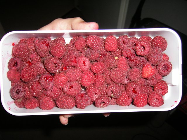 100_4281.jpg