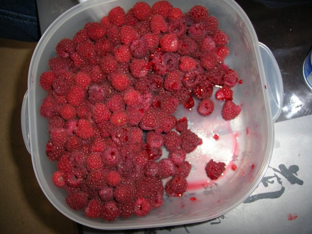 100_4282.jpg