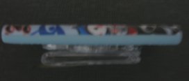 100_4343s.jpg